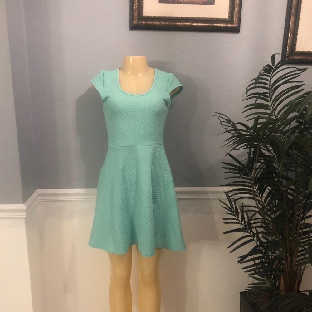 BNWOT NEVER WORN Myths Mint Green Fit-and-Flare Midi Dress